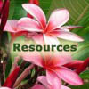 Island Organizers' Resources